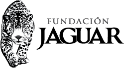 Logo Fundación Jaguar